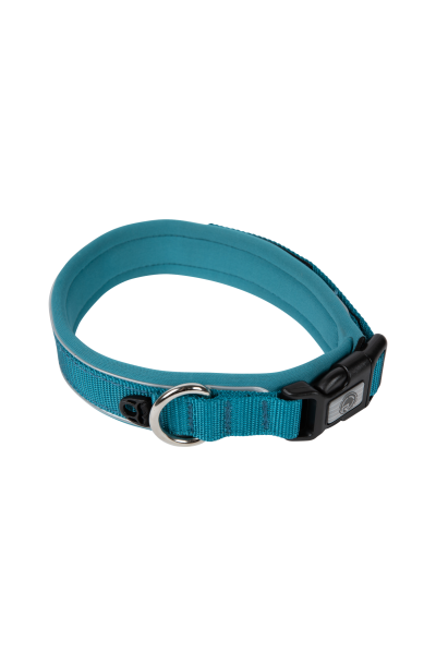 Dog Collar