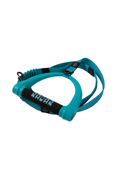 Dog Leash