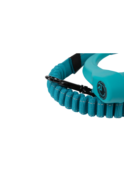 Dog Leash