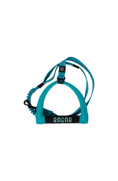 Dog Leash