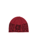AR Skully Beanie