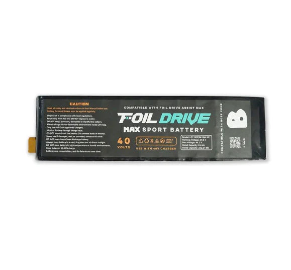 Assist Max Sport Battery