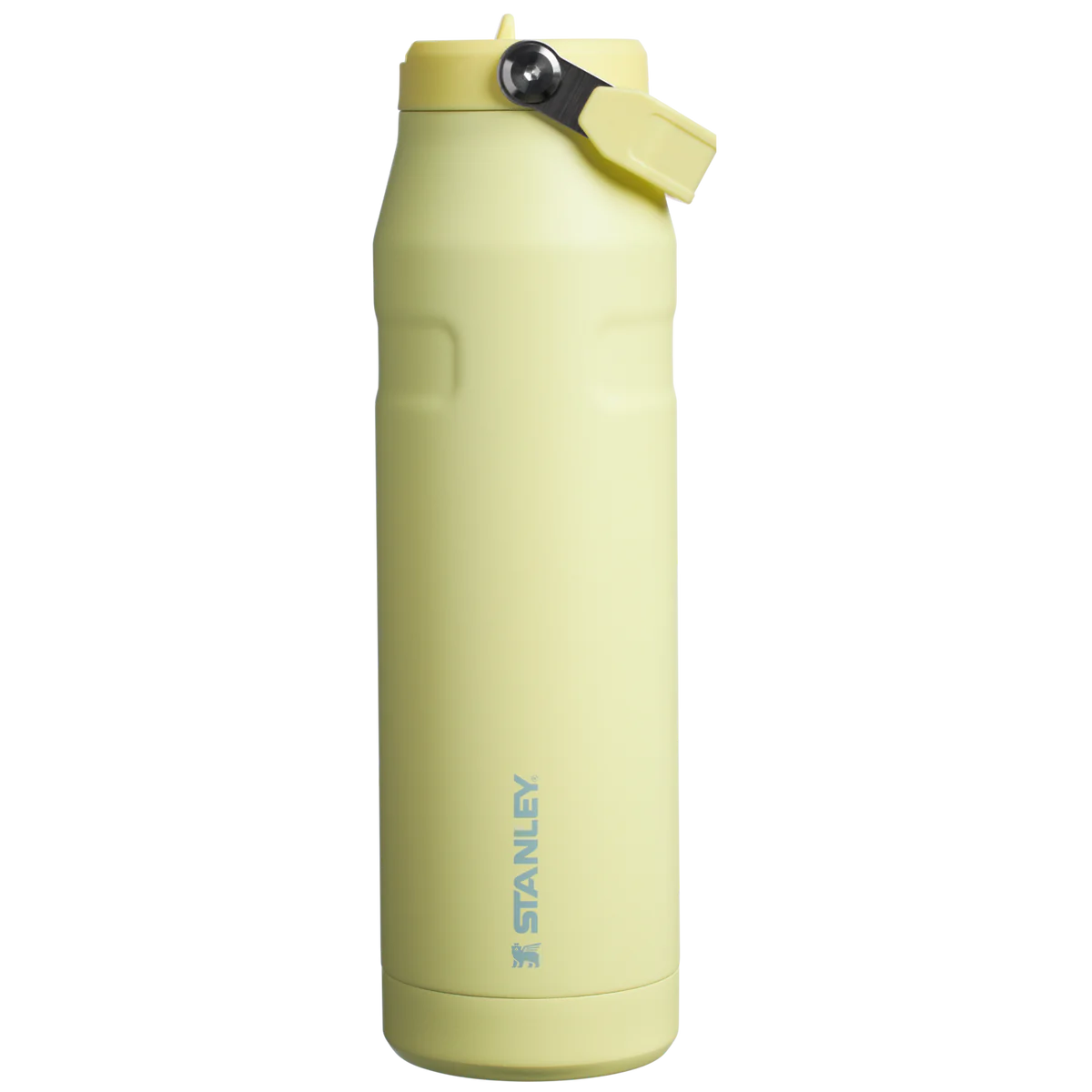 The Iceflow Bottle with Flip Straw Lid