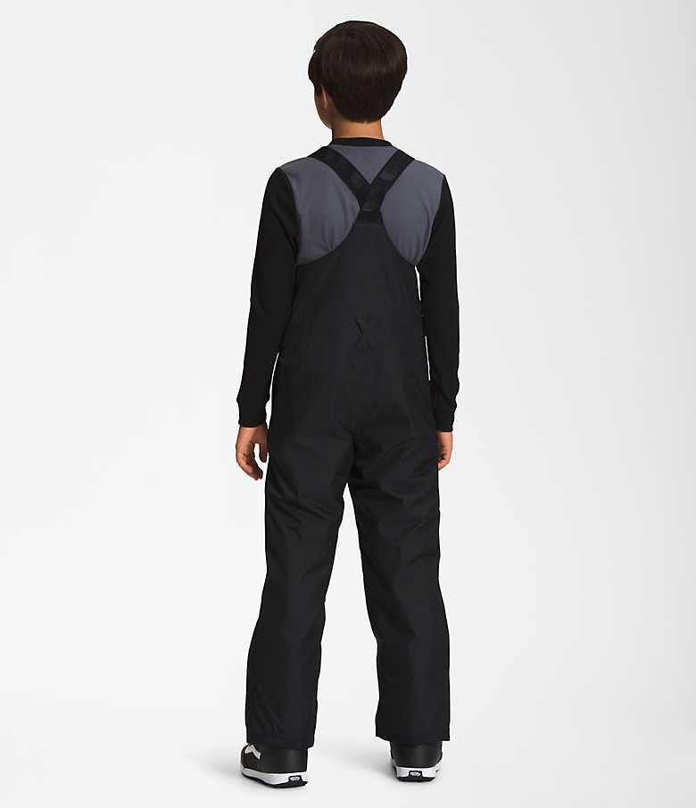 Freedom Insulated Bibs